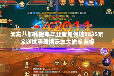 天龙八部私服单职业服如何选2025玩家避坑手册揭示三大流派真相 天龙八部私服单职业服如何选2025玩家避坑手册揭示三大流派真相