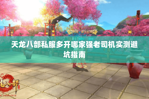 天龙八部私服多开哪家强老司机实测避坑指南 天龙八部私服多开哪家强老司机实测避坑指南