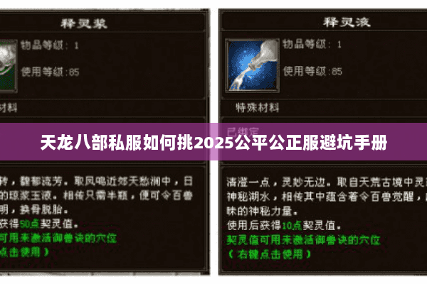 天龙八部私服如何挑2025公平公正服避坑手册 天龙八部私服如何挑2025公平公正服避坑手册