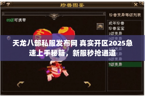 天龙八部私服发布网 真实开区2025急速上手秘籍,新服秒抢通道 天龙八部私服发布网 真实开区2025急速上手秘籍,新服秒抢通道