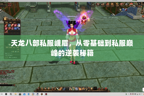 天龙八部私服峨眉,从零基础到私服巅峰的逆袭秘籍 天龙八部私服峨眉,从零基础到私服巅峰的逆袭秘籍