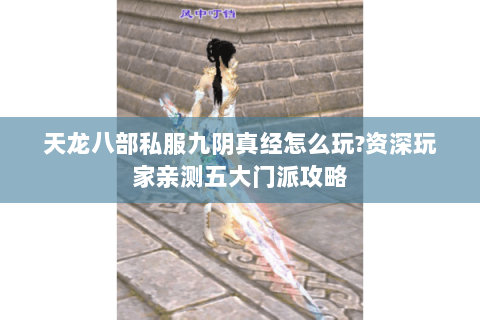 天龙八部私服九阴真经怎么玩?资深玩家亲测五大门派攻略 天龙八部私服九阴真经怎么玩?资深玩家亲测五大门派攻略