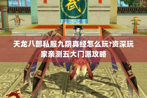 天龙八部私服九阴真经怎么玩?资深玩家亲测五大门派攻略 天龙八部私服九阴真经怎么玩?资深玩家亲测五大门派攻略
