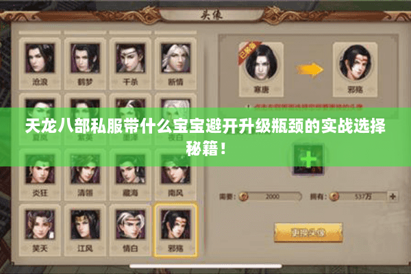 天龙八部私服带什么宝宝避开升级瓶颈的实战选择秘籍! 天龙八部私服带什么宝宝避开升级瓶颈的实战选择秘籍!
