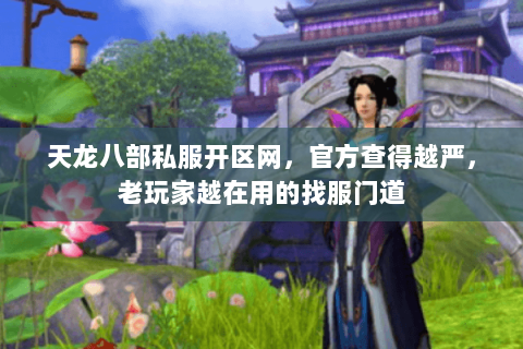 天龙八部私服开区网,官方查得越严,老玩家越在用的找服门道 天龙八部私服开区网,官方查得越严,老玩家越在用的找服门道