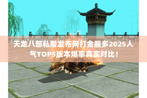 天龙八部私服发布网打金服多2025人气TOP5版本爆率真实对比! 天龙八部私服发布网打金服多2025人气TOP5版本爆率真实对比!