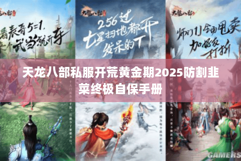 天龙八部私服开荒黄金期2025防割韭菜终极自保手册 天龙八部私服开荒黄金期2025防割韭菜终极自保手册