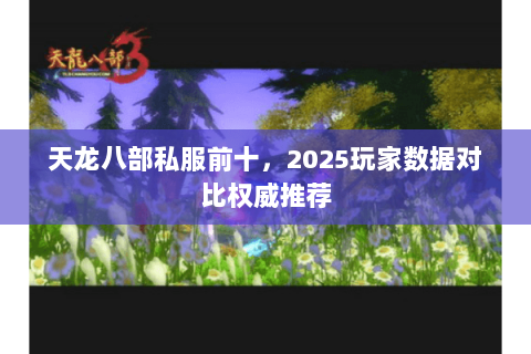 天龙八部私服前十，2025玩家数据对比权威推荐