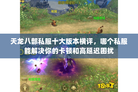 天龙八部私服十大版本横评,哪个私服能解决你的卡顿和高延迟困扰 天龙八部私服十大版本横评,哪个私服能解决你的卡顿和高延迟困扰