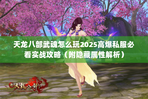 天龙八部武魂怎么玩2025高爆私服必看实战攻略(附隐藏属性解析) 天龙八部武魂怎么玩2025高爆私服必看实战攻略(附隐藏属性解析)