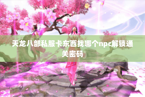 天龙八部私服卡东西找哪个npc解锁通关密码 天龙八部私服卡东西找哪个npc解锁通关密码