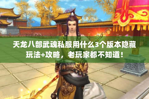 天龙八部武魂私服用什么3个版本隐藏玩法+攻略,老玩家都不知道! 天龙八部武魂私服用什么3个版本隐藏玩法+攻略,老玩家都不知道!