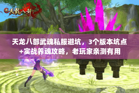 天龙八部武魂私服避坑,3个版本坑点+实战养魂攻略,老玩家亲测有用 天龙八部武魂私服避坑,3个版本坑点+实战养魂攻略,老玩家亲测有用