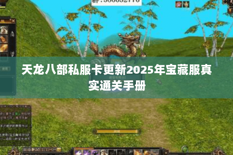 天龙八部私服卡更新2025年宝藏服真实通关手册 天龙八部私服卡更新2025年宝藏服真实通关手册