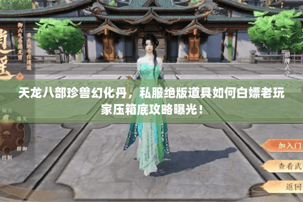 天龙八部珍兽幻化丹,私服绝版道具如何白嫖老玩家压箱底攻略曝光! 天龙八部珍兽幻化丹,私服绝版道具如何白嫖老玩家压箱底攻略曝光!