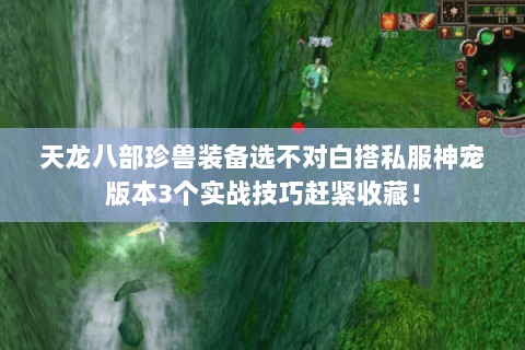 天龙八部珍兽装备选不对白搭私服神宠版本3个实战技巧赶紧收藏! 天龙八部珍兽装备选不对白搭私服神宠版本3个实战技巧赶紧收藏!