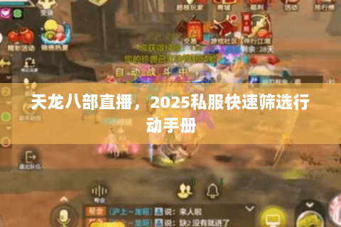 天龙八部直播，2025私服快速筛选行动手册