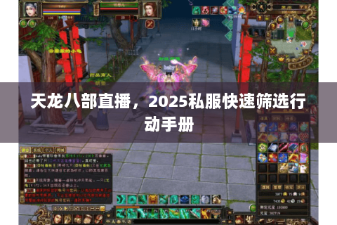 天龙八部直播，2025私服快速筛选行动手册