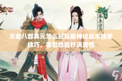 天龙八部真元怎么玩私服神级版本独家技巧，零氪也能秒满属性