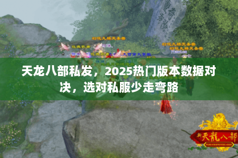 天龙八部私发,2025热门版本数据对决,选对私服少走弯路 天龙八部私发,2025热门版本数据对决,选对私服少走弯路