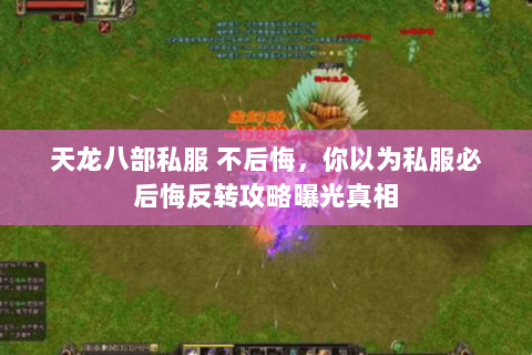 天龙八部私服 不后悔,你以为私服必后悔反转攻略曝光真相 天龙八部私服 不后悔,你以为私服必后悔反转攻略曝光真相