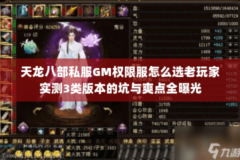 天龙八部私服GM权限服怎么选老玩家实测3类版本的坑与爽点全曝光 天龙八部私服GM权限服怎么选老玩家实测3类版本的坑与爽点全曝光