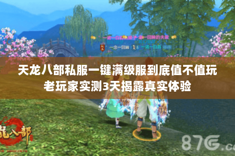 天龙八部私服一键满级服到底值不值玩老玩家实测3天揭露真实体验 天龙八部私服一键满级服到底值不值玩老玩家实测3天揭露真实体验