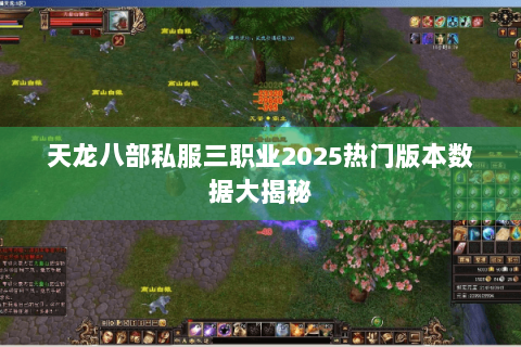 天龙八部私服三职业2025热门版本数据大揭秘 天龙八部私服三职业2025热门版本数据大揭秘