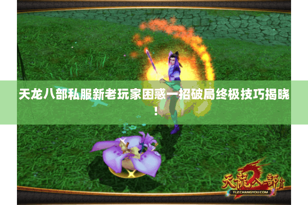 天龙八部私服新老玩家困惑一招破局终极技巧揭晓! 天龙八部私服新老玩家困惑一招破局终极技巧揭晓!