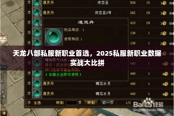 天龙八部私服新职业首选,2025私服新职业数据实战大比拼 天龙八部私服新职业首选,2025私服新职业数据实战大比拼