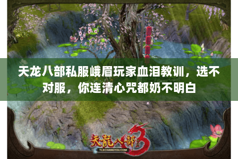 天龙八部私服峨眉玩家血泪教训,选不对服,你连清心咒都奶不明白 天龙八部私服峨眉玩家血泪教训,选不对服,你连清心咒都奶不明白