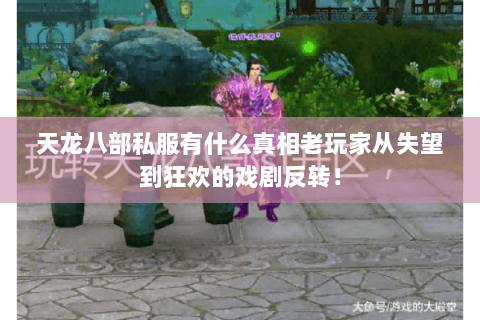 天龙八部私服有什么真相老玩家从失望到狂欢的戏剧反转! 天龙八部私服有什么真相老玩家从失望到狂欢的戏剧反转!