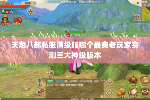 天龙八部私服满级服哪个最爽老玩家实测三大神级版本 天龙八部私服满级服哪个最爽老玩家实测三大神级版本