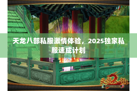天龙八部私服激情体验,2025独家私服速成计划 天龙八部私服激情体验,2025独家私服速成计划