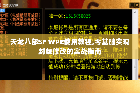 天龙八部SF WPE使用教程,零基础实现封包修改的实战指南 天龙八部SF WPE使用教程,零基础实现封包修改的实战指南