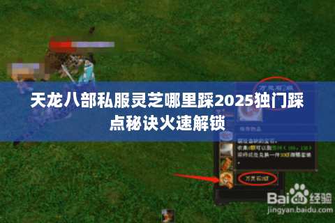 天龙八部私服灵芝哪里踩2025独门踩点秘诀火速解锁 天龙八部私服灵芝哪里踩2025独门踩点秘诀火速解锁