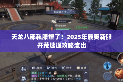 天龙八部私服爆了!2025年最爽新服开荒速通攻略流出 天龙八部私服爆了!2025年最爽新服开荒速通攻略流出