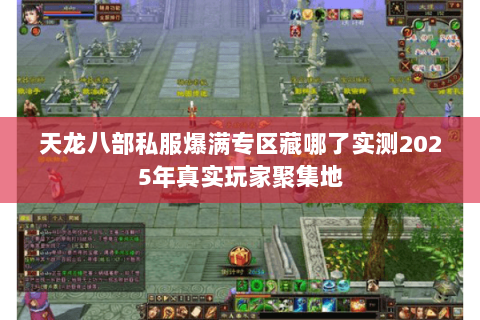 天龙八部私服爆满专区藏哪了实测2025年真实玩家聚集地