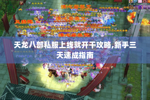 天龙八部私服上线就开干攻略,新手三天速成指南