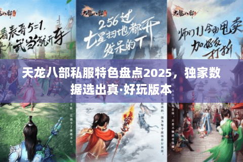 天龙八部私服特色盘点2025,独家数据选出真·好玩版本 天龙八部私服特色盘点2025,独家数据选出真·好玩版本