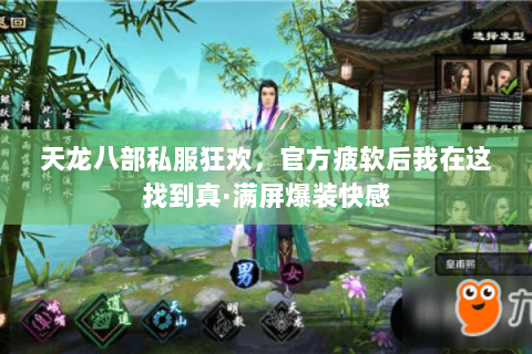 天龙八部私服狂欢,官方疲软后我在这找到真·满屏爆装快感 天龙八部私服狂欢,官方疲软后我在这找到真·满屏爆装快感