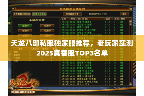 天龙八部私服独家服推荐，老玩家实测2025真香服TOP3名单