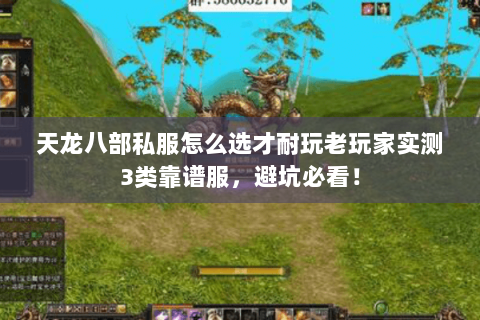 天龙八部私服怎么选才耐玩老玩家实测3类靠谱服,避坑必看! 天龙八部私服怎么选才耐玩老玩家实测3类靠谱服,避坑必看!