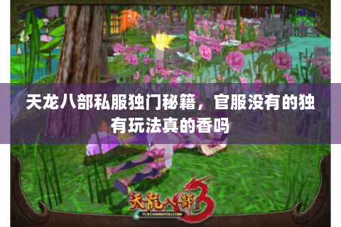 天龙八部私服独门秘籍,官服没有的独有玩法真的香吗 天龙八部私服独门秘籍,官服没有的独有玩法真的香吗