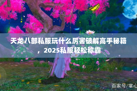 天龙八部私服玩什么厉害破解高手秘籍,2025私服轻松称霸 天龙八部私服玩什么厉害破解高手秘籍,2025私服轻松称霸