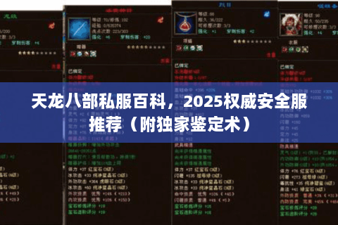 天龙八部私服百科,2025权威安全服推荐(附独家鉴定术) 天龙八部私服百科,2025权威安全服推荐(附独家鉴定术)
