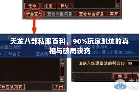 天龙八部私服百科,90%玩家跳坑的真相与破局诀窍 天龙八部私服百科,90%玩家跳坑的真相与破局诀窍