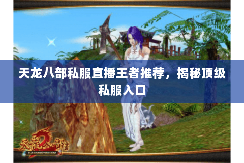 天龙八部私服直播王者推荐,揭秘顶级私服入口 天龙八部私服直播王者推荐,揭秘顶级私服入口