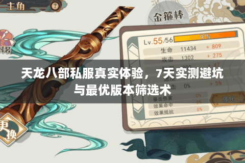 天龙八部私服真实体验,7天实测避坑与最优版本筛选术 天龙八部私服真实体验,7天实测避坑与最优版本筛选术