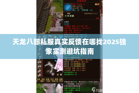 天龙八部私服真实反馈在哪找2025独家实测避坑指南 天龙八部私服真实反馈在哪找2025独家实测避坑指南